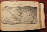 Pierre Belon (1517-1564), De aquatilibus, libri duo Cum eiconibus eiconibus ad vivam ipsorum effigiem, quoad eius fieri potuit, expressis.