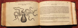 Pierre Belon (1517-1564), De aquatilibus, libri duo Cum eiconibus eiconibus ad vivam ipsorum effigiem, quoad eius fieri potuit, expressis.