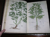 Leonhard Fuchs (1501-1566), De historia stirpium commentarii insignes...