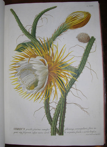 Christoph Jakob Trew (1695-1769) - Georg Ehret(1708-1770), Plantae selectae quarum imagines...pinxit Georgius Dionysius Ehret