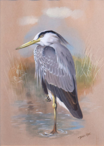 Basil Ede (1931-2016), Adult Grey Heron