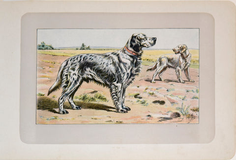P. Mahler & J.B. Samat, English Setter