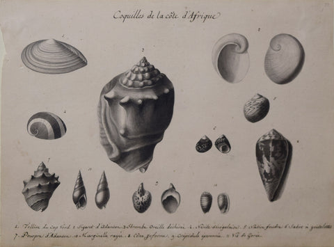 Christophe Paulin de la Poix de Fremenville (1747-1848), Coquilles de La Cote D'Afrique...