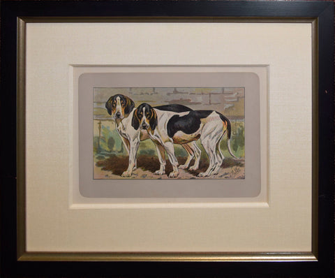 P. Mahler & J.B. Samat, French Tricolored Hound