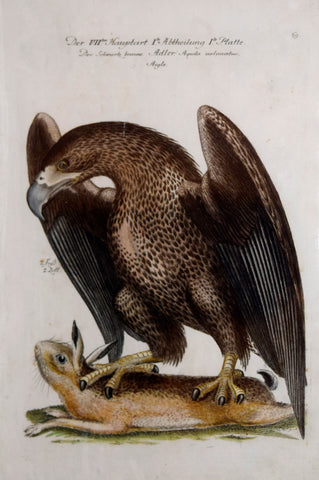 Johann Leonhard Frisch (1666-1743), T 69