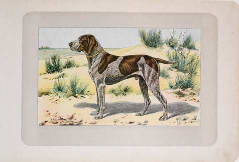 P. Mahler & J.B. Samat, German Shorthaired Pointer