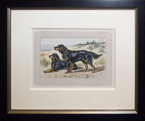 P. Mahler & J.B. Samat, Gordon Setter