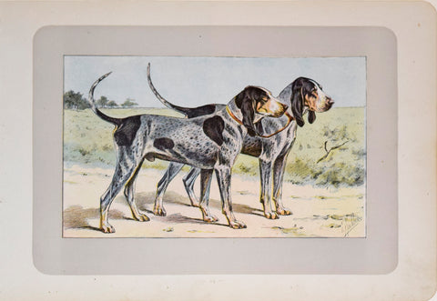 P. Mahler & J.B. Samat, Grand Bleu de Gascogne