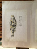 Japanese School [JAPAN, MID-NINETEENTH CENTURY] An album of watercolors of fish