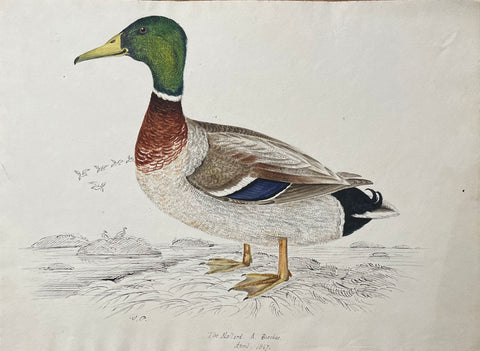 William Pope (British/Canadian, 1811-1902), The Mallard A. Bosches April 1847