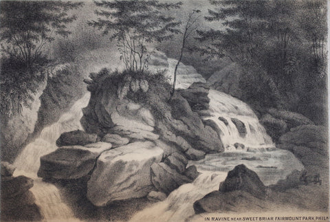 August Kollner (1813-1907, In Ravine near Sweet Briar Fairmount Park, Phila