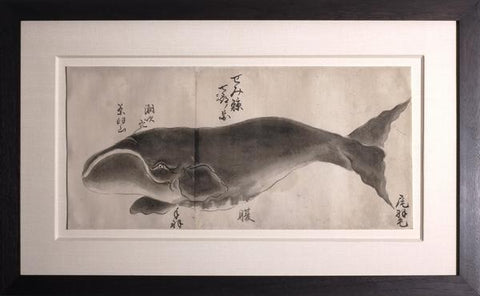 Japanese Whale Watercolor, Semi-kujira / Right Whale
