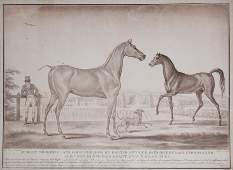 Carle Vernet (1758-1835) after, Jument Negresse sans poils couleur...