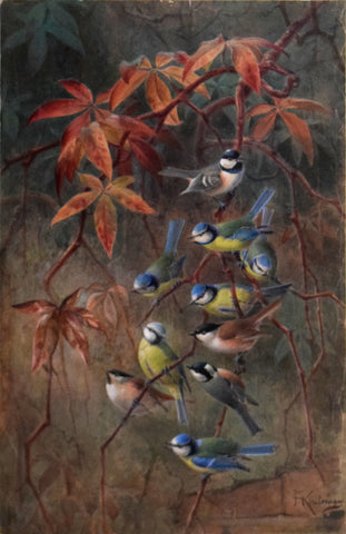 Johannes Gerardus Keulemans (Dutch, 1842-1912), Eurasian Blue Tit