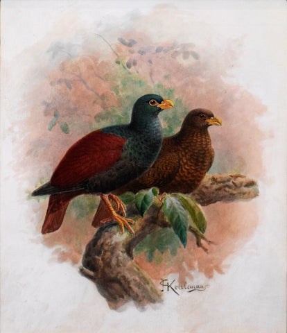 Johannes Gerardus Keulemans (Dutch, 1842-1912), Crested Partridge