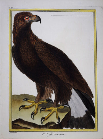 Francois Nicolas Martinet ( b. 1731), L'Aigle commun Pl 409