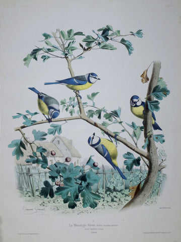 Edouard Travies (1809-1865) La Huppe Pl 23