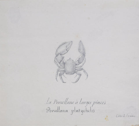 Christophe Paulin de la Poix de Freminville (1747-1848), La Porcellane a larges pinces