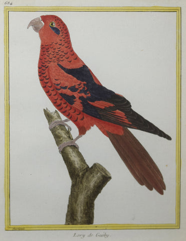 Francois Nicolas Martinet ( b. 1731), Lory de Gueby Pl 684