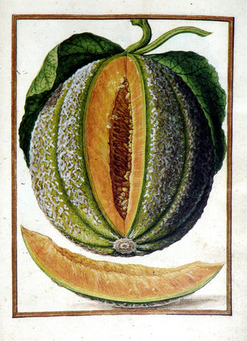 Jacques le Moyne de Morgues (French, ca. 1533-1588), Melon