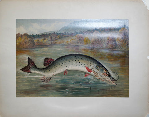 Samuel A. Kilbourne (1836-1881), Muskie Lunge