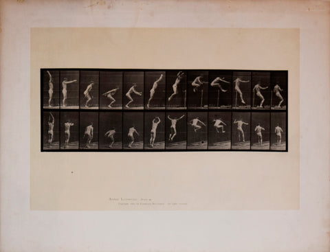 Eadweard Muybridge (English, 1830-1904), Animal Locomotion - Plate - 161