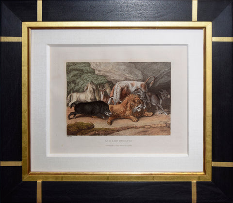 Samuel Howitt (British, 1756-1822), Old Lion Insulted