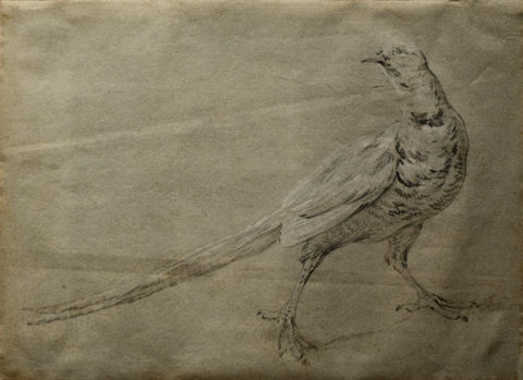 Jean Baptiste Oudry (French, 1686-1755), “Pheasant”