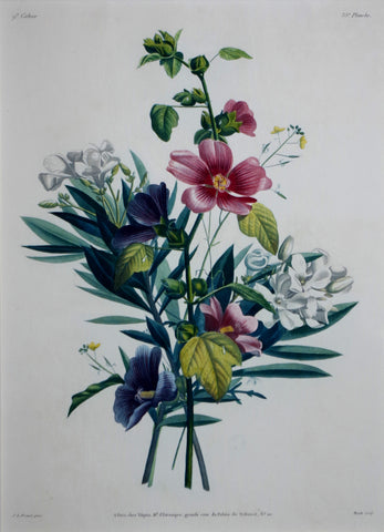 Jean Louis Prevost (1760-1810), Plate 35