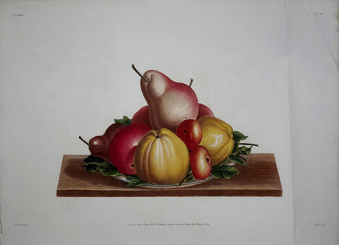 Jean Louis Prevost (1760-1810), Plate 36