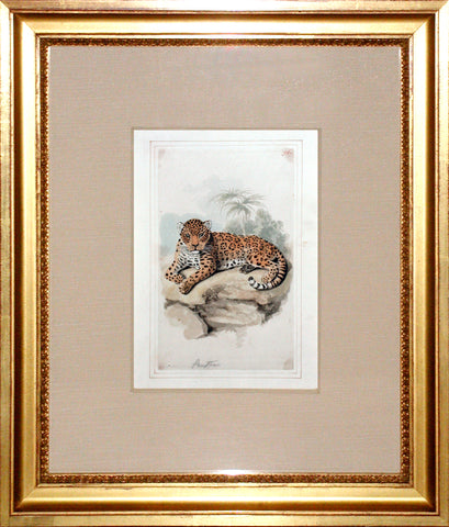 Samuel Howitt (British, 1765-1822) Panther