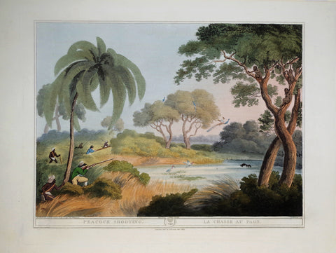 Thomas Williamson (1758-1817) and Samuel Howitt (1765-1822), Peacock Shooting