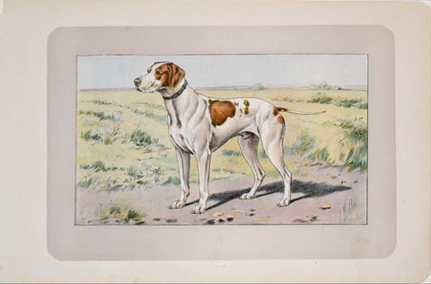 P. Mahler & J.B. Samat, Saint Germain Pointing Dog