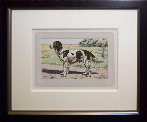 P. Mahler & J.B. Samat, Irish Red and White Setter