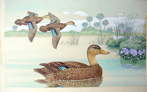 Arthur Singer (American, 1917-1990), Black Duck