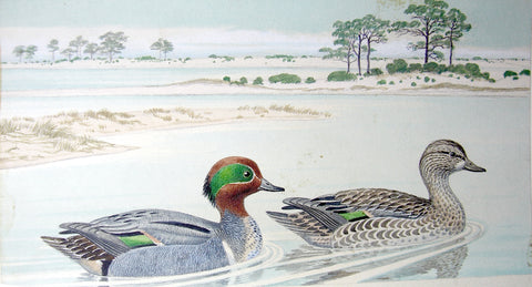 Arthur Singer (American, 1917-1990), Pair of Green-winged Teal