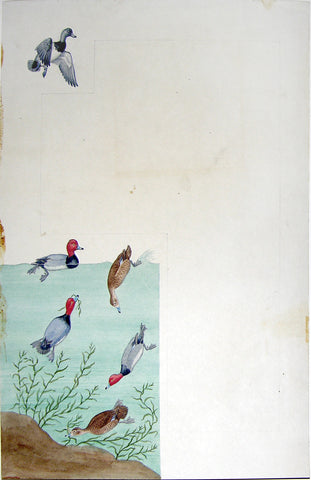 Arthur Singer (American, 1917-1990), Red-Headed Ducks Diving and in Flight