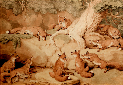Samuel Howitt (British, 1756-1822), The Council of Foxes
