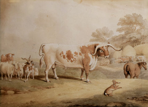 Samuel Howitt (British, 1756-1822), The Hare and Many Friends