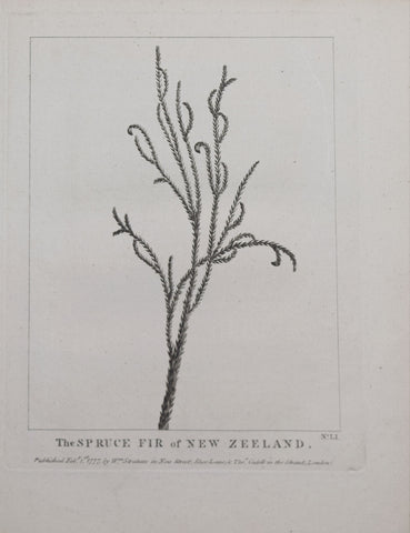 Capt. James Cook (1728-1779) and John Hawkesworth (1715?-1779), The Spruce Fir of New Zeeland No. LI