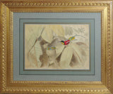 Edouard Traviès (1809-1876) Colibri Topage, Colibri Rubis Topage