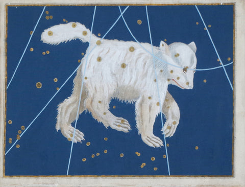 Johann Bayer (1572-1625), Ursa Major