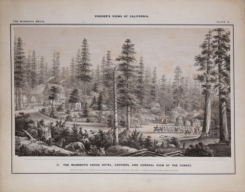 Edward Vischer (1809-1878), The Mammoth Grove Hotel, Grounds and General View of the Forest