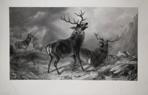 Sir Edwin Henry Landseer (1802-1873) and Thomas Landseer (1795-1880),  Victor of the Glen