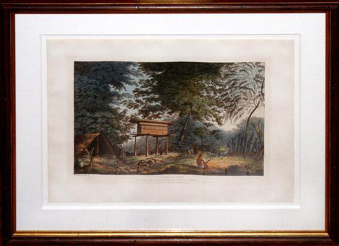 John Webber (1751-1793), A Toopapaoo of a Chief