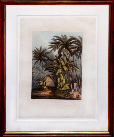 John Webber (1751-1793), The Plantain Tree