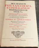 Johann Wilhelm Weinmann (died 1741) - Georg Dionysius Ehret (1708-1770) - DIETRICHS, J.G.N. - DIETRICHS L.M. - BIELER, A.K. Phytanthoza iconographia; sive Conspectus aliquot millium...
