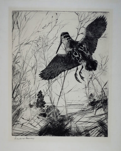 Frank Benson (1862-1951), Woodcock