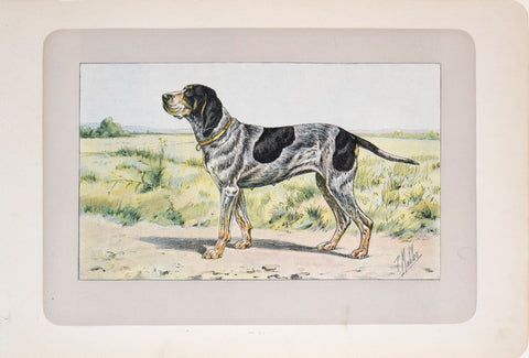 P. Mahler & J.B. Samat, Württemberger Pointer