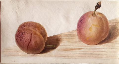 Pancrace Bessa (French, 1772-1846), Study of Cherries